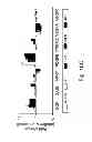 Fig. 41 - MULTIPLEXED KINASE INHIBITOR BEADS AND USES THEREOF