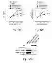 Fig. 47 - MULTIPLEXED KINASE INHIBITOR BEADS AND USES THEREOF