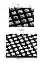 Fig. 03 - Micro-bubble plate for patterning biological and non-biological materials
