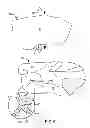 Fig. 06 - Hydraulic fracture composition and method