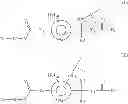 Fig. 08 - Polymeric Hyperbranched Carrier-Linked Prodrugs