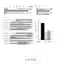 Fig. 08 - Treatments for 