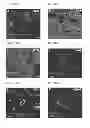 Fig. 04 - Methods and compositions for targeting adipose cells in mammals