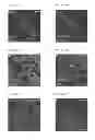 Fig. 08 - Methods and compositions for targeting adipose cells in mammals