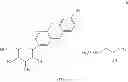 Fig. 05 - Pharmaceutical formulations containing an SGLT2 inhibitor