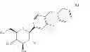 Fig. 06 - Pharmaceutical formulations containing an SGLT2 inhibitor