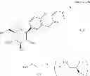 Fig. 07 - Pharmaceutical formulations containing an SGLT2 inhibitor