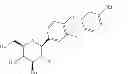 Fig. 13 - Pharmaceutical formulations containing an SGLT2 inhibitor
