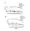 Fig. 03 - ANTIBODIES TO MODIFIED HUMAN IGF-1/E PEPTIDES