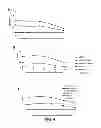 Fig. 05 - ANTIBODIES TO MODIFIED HUMAN IGF-1/E PEPTIDES
