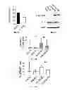 Fig. 06 - Methods of using ERBB2 conjugate peptides