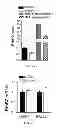 Fig. 07 - Methods of using ERBB2 conjugate peptides