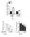 Fig. 09 - Methods of using ERBB2 conjugate peptides