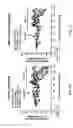 Fig. 03 - METHODS FOR TREATING INFLAMMATORY DISEASES AND PHARMACEUTICAL COMBINATIONS USEFUL THEREFOR