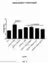 Fig. 07 - METHODS FOR TREATING INFLAMMATORY DISEASES AND PHARMACEUTICAL COMBINATIONS USEFUL THEREFOR