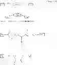 Fig. 34 - METHODS AND COMPOSITIONS FOR DESIGNING NOVEL CONJUGATE THERAPEUTICS
