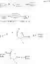 Fig. 42 - METHODS AND COMPOSITIONS FOR DESIGNING NOVEL CONJUGATE THERAPEUTICS
