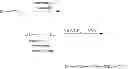 Fig. 52 - METHODS AND COMPOSITIONS FOR DESIGNING NOVEL CONJUGATE THERAPEUTICS