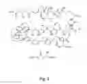 Fig. 04 - Biologically active macrolides, compositions, and uses thereof