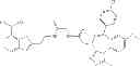 Fig. 1497 - BROMODOMAIN LIGANDS CAPABLE OF DIMERIZING IN AN AQUEOUS SOLUTION, AND METHODS OF USING SAME