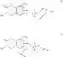 Fig. 166 - BROMODOMAIN LIGANDS CAPABLE OF DIMERIZING IN AN AQUEOUS SOLUTION, AND METHODS OF USING SAME