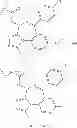 Fig. 1982 - BROMODOMAIN LIGANDS CAPABLE OF DIMERIZING IN AN AQUEOUS SOLUTION, AND METHODS OF USING SAME