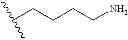 Fig. 290 - BROMODOMAIN LIGANDS CAPABLE OF DIMERIZING IN AN AQUEOUS SOLUTION, AND METHODS OF USING SAME