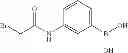 Fig. 304 - BROMODOMAIN LIGANDS CAPABLE OF DIMERIZING IN AN AQUEOUS SOLUTION, AND METHODS OF USING SAME