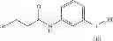 Fig. 308 - BROMODOMAIN LIGANDS CAPABLE OF DIMERIZING IN AN AQUEOUS SOLUTION, AND METHODS OF USING SAME