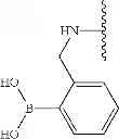 Fig. 569 - BROMODOMAIN LIGANDS CAPABLE OF DIMERIZING IN AN AQUEOUS SOLUTION, AND METHODS OF USING SAME