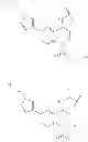 Fig. 62 - BROMODOMAIN LIGANDS CAPABLE OF DIMERIZING IN AN AQUEOUS SOLUTION, AND METHODS OF USING SAME