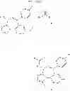 Fig. 841 - BROMODOMAIN LIGANDS CAPABLE OF DIMERIZING IN AN AQUEOUS SOLUTION, AND METHODS OF USING SAME