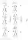 Fig. 03 - Phosphaplatin mediated modulation of pigment epithelial derived factor and uses thereof