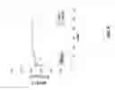 Fig. 07 - Phosphaplatin mediated modulation of pigment epithelial derived factor and uses thereof