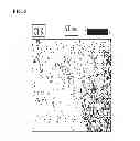 Fig. 06 - Chlorobis copper (I) complex compositions and methods of manufacture and use