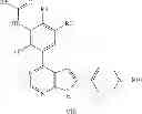 Fig. 13 - Pyrrolo pyrimidine derivatives