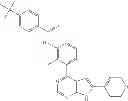 Fig. 149 - Pyrrolo pyrimidine derivatives