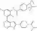 Fig. 29 - Pyrrolo pyrimidine derivatives