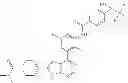 Fig. 42 - Pyrrolo pyrimidine derivatives