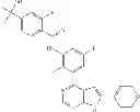 Fig. 48 - Pyrrolo pyrimidine derivatives