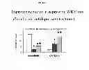 Fig. 02 - TREATMENTS TARGETING GAMMA-SYNUCLEIN EXPRESSION LEVELS