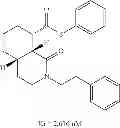 Fig. 102 - SYNTHESIS OF FUNCTIONALIZED OCTAHYDRO-ISOQUINOLIN-1-ONE-8-CARBOXYLIC ESTERS AND ANALOGS, AND THERAPEUTIC METHODS