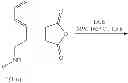 Fig. 11 - SYNTHESIS OF FUNCTIONALIZED OCTAHYDRO-ISOQUINOLIN-1-ONE-8-CARBOXYLIC ESTERS AND ANALOGS, AND THERAPEUTIC METHODS