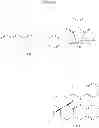 Fig. 53 - SYNTHESIS OF FUNCTIONALIZED OCTAHYDRO-ISOQUINOLIN-1-ONE-8-CARBOXYLIC ESTERS AND ANALOGS, AND THERAPEUTIC METHODS