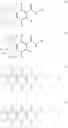 Fig. 06 - SUBSTITUTED HYDOXAMIC ACIDS AND USES THEREOF