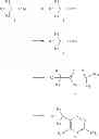 Fig. 09 - Cyclic triazo sodium channel blockers