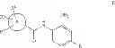 Fig. 09 - Selective HDAC3 inhibitors