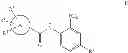 Fig. 53 - Selective HDAC3 inhibitors