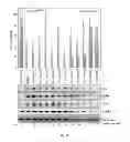 Fig. 35 - Substituted pyrazolo[3,4-D]pyrimidines and uses thereof