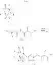 Fig. 32 - MICROBIOCIDAL PYRAZOLE DERIVATIVES